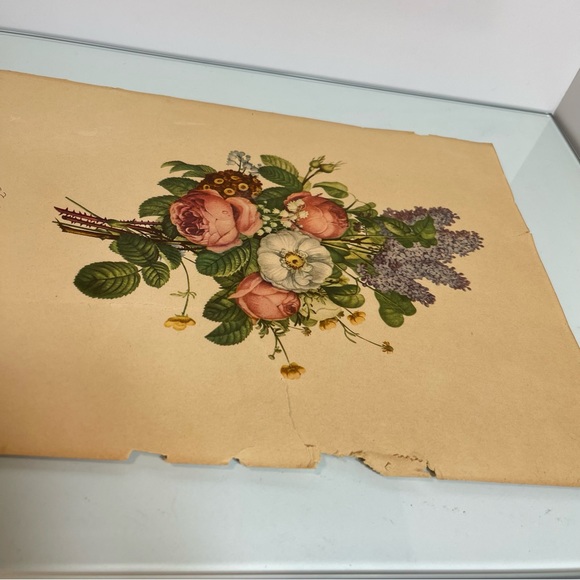 Vintage J L Prevost Botanical Print, Floral Print, Small Flower - Picture 5 of 5